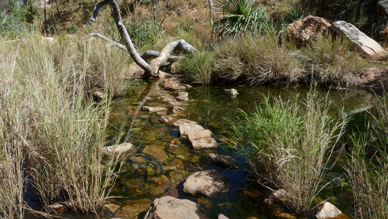 Emma Gorge